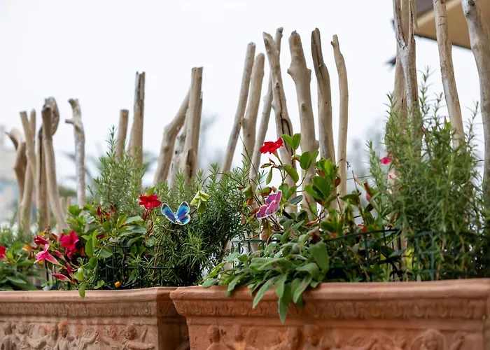 Al Mare 54 Luxury Guest House Lido di Camaiore